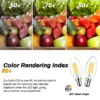 532b66ca-9aa1-4504-b172-fbf0e5b38358.webp 5pcs B15 LED bulbs
