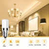 5b92b348-4c90-470b-986e-5ded57544ca8.webp E14 LED Fridge Lamp